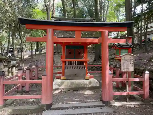 春日大社(奈良県)