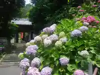 岩殿寺のその他建物