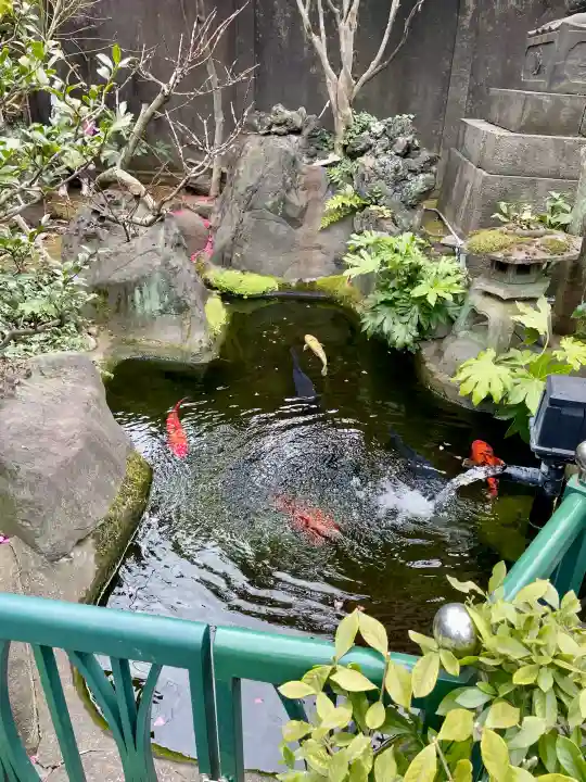 寿永寺の{uncategorized: "未分類", other: "その他", undefined: "問題あり", building: "その他建物", grave: "お墓", sacred_gate: "鳥居", guardian: "狛犬", statue: "像", buddha: "仏像", history: "歴史", nature: "自然", garden: "庭園", animal: "動物", pagoda: "塔", temizu: "手水舎", mountain_gate: "山門・神門", sanctuary: "本殿・本堂", subordinate: "末社・摂社", art: "芸術", scenery: "景色", jizo: "地蔵", ema: "絵馬", goshuin: "御朱印", omikuji: "おみくじ", items: "授与品その他", amulet: "お守り", goshuincho: "御朱印帳", eats: "食事", festival: "お祭り", votive_dance: "神楽", shichigosan: "七五三参", wedding: "結婚式", experience: "体験その他", initially: "初詣", around: "周辺", anti_infection: "感染症対策"}