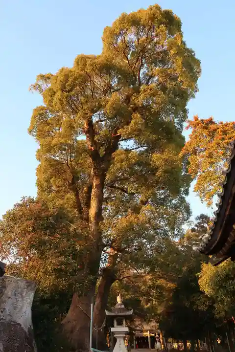 細江神社(静岡県)