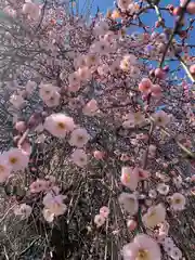 百品神社(群馬県)