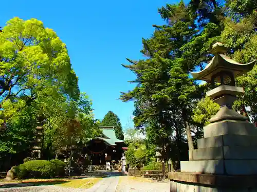 本土神社の建物その他