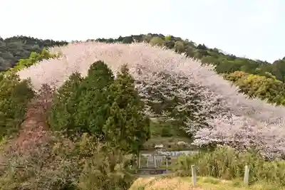 熊野神社(愛媛県)