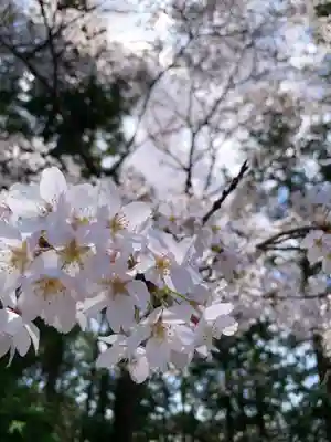 滑川神社 - 仕事と子どもの守り神(福島県)