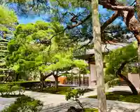 慈照寺(慈照禅寺・銀閣寺)のその他建物