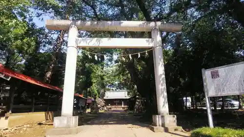 大井氷川神社の鳥居