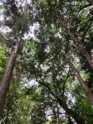 久伊豆神社(埼玉県)