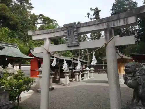 沙沙貴神社の鳥居