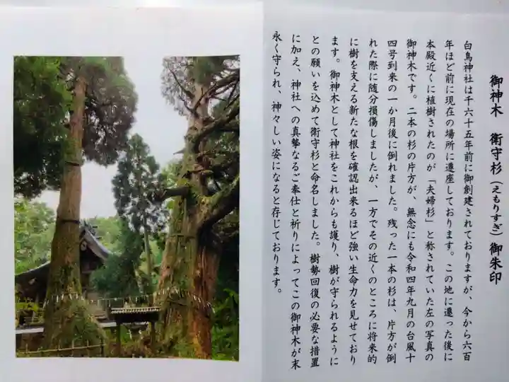 白鳥神社(宮崎県)