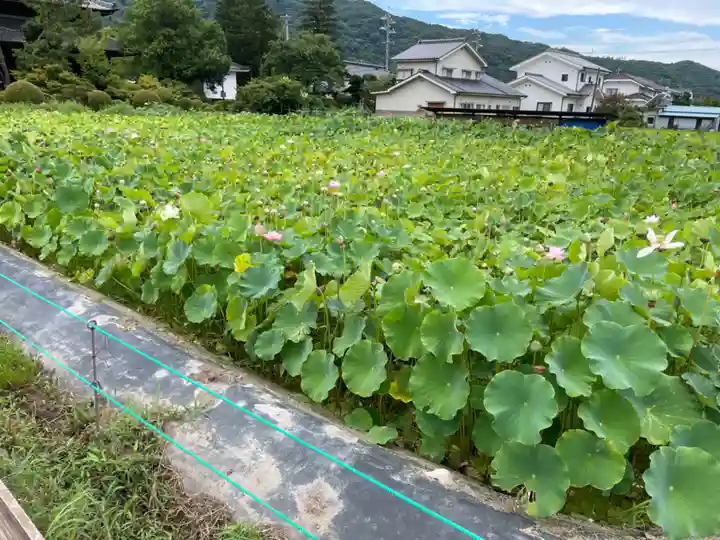 信濃國分寺の自然