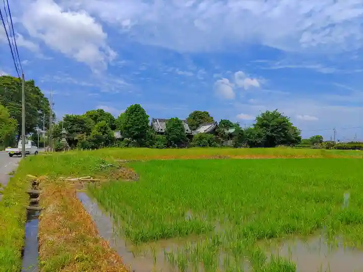 八幡社(堀之内)の自然