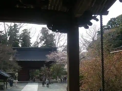 妙本寺の山門・神門