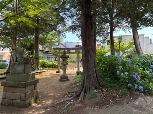 鹿島神社(千葉県)