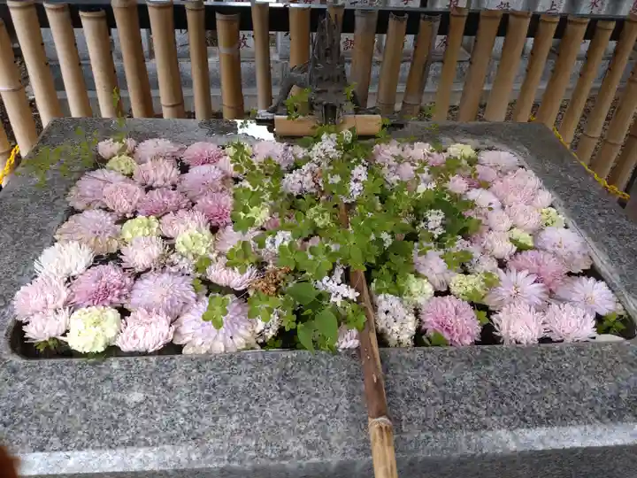 高円寺氷川神社(東京都)