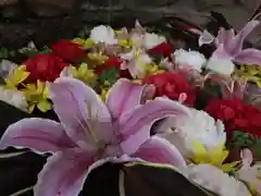 生田神社の手水