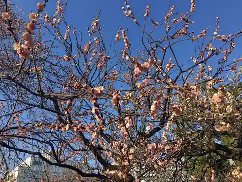 湯島天満宮の庭園