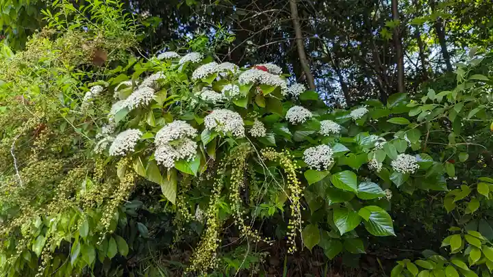 知恩院(京都府)