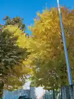 古布内八幡神社の自然