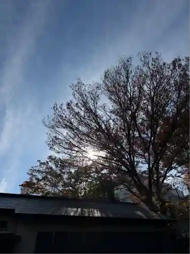 日吉神社(神奈川県)