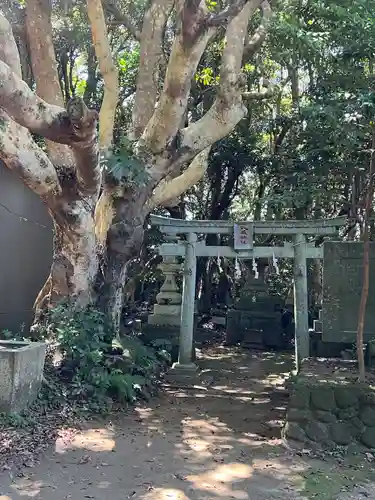 渡海神社の鳥居