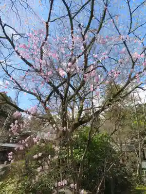 関川寺(福島県)