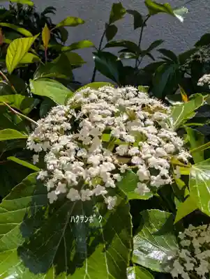 本覺寺(神奈川県)