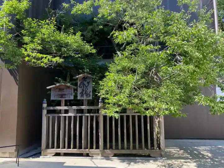 太宰府天満宮(福岡県)