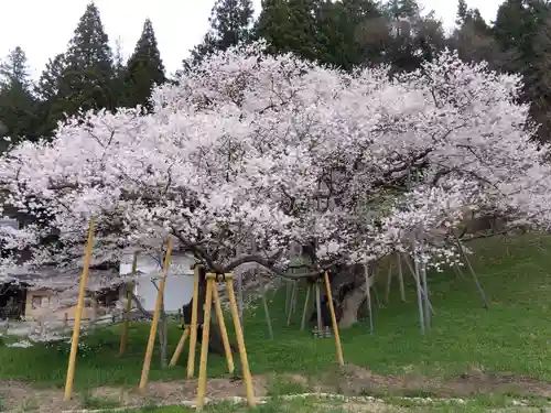 大幢寺(岐阜県)