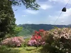 宝登山神社奥宮の景色
