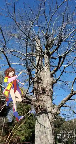 狭山山不動寺の自然