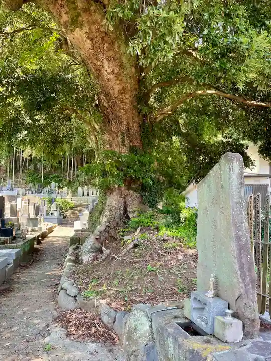 真福寺(神奈川県)