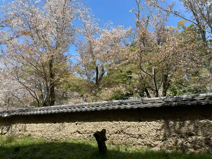 宝聚院(京都府)
