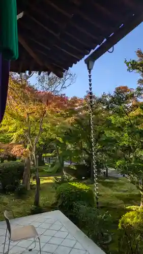禅林寺（永観堂）(京都府)