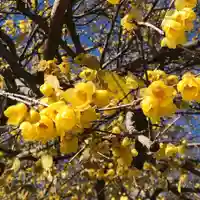 横浜 西方寺の自然