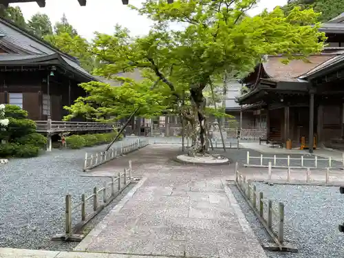 龍泉院(和歌山県)
