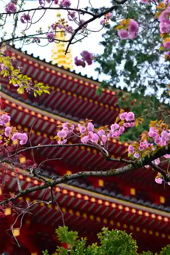 高幡不動尊　金剛寺(東京都)