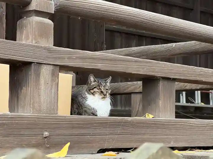 阿邪訶根神社(福島県)
