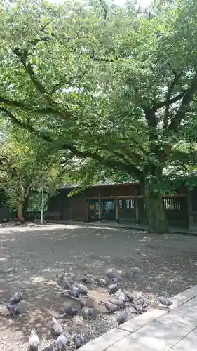 宇都宮二荒山神社の動物