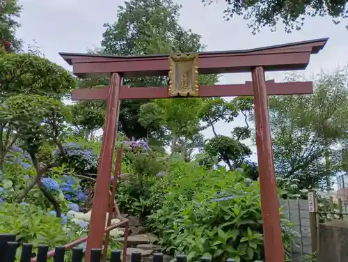 白山神社(東京都)