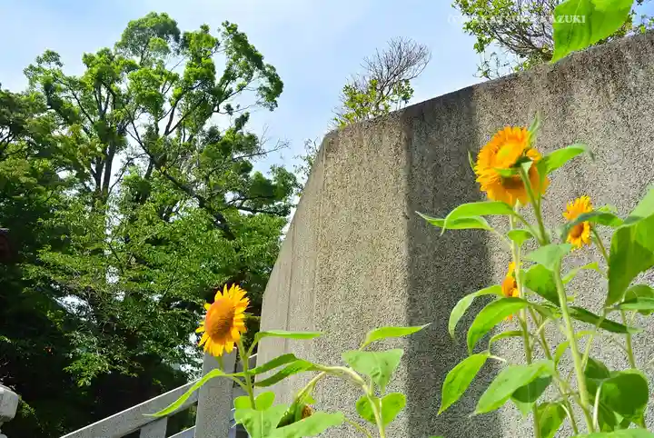 伊勢山皇大神宮(神奈川県)
