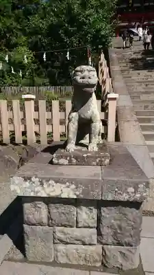 鶴岡八幡宮の狛犬