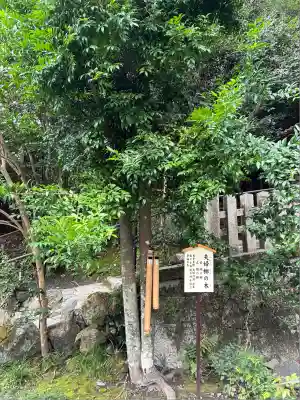 大豊神社(京都府)