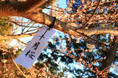 葛原岡神社の自然