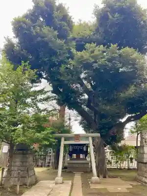 上高田氷川神社の{uncategorized: "未分類", other: "その他", undefined: "問題あり", building: "その他建物", grave: "お墓", sacred_gate: "鳥居", guardian: "狛犬", statue: "像", buddha: "仏像", history: "歴史", nature: "自然", garden: "庭園", animal: "動物", pagoda: "塔", temizu: "手水舎", mountain_gate: "山門・神門", sanctuary: "本殿・本堂", subordinate: "末社・摂社", art: "芸術", scenery: "景色", jizo: "地蔵", ema: "絵馬", goshuin: "御朱印", omikuji: "おみくじ", items: "授与品その他", amulet: "お守り", goshuincho: "御朱印帳", eats: "食事", festival: "お祭り", votive_dance: "神楽", shichigosan: "七五三参", wedding: "結婚式", experience: "体験その他", initially: "初詣", around: "周辺", anti_infection: "感染症対策"}