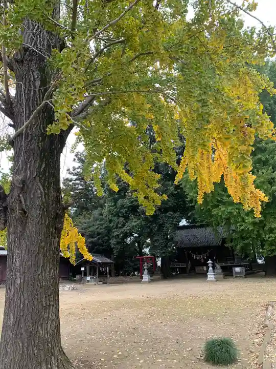 大東神社の自然