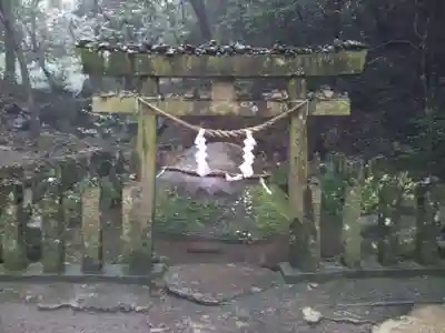 東霧島神社の鳥居