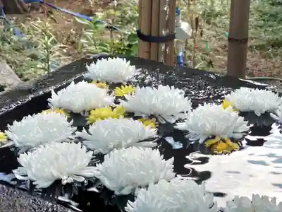 常立寺(神奈川県)