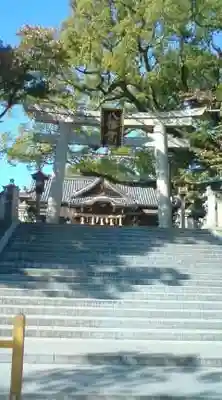 百舌鳥八幡宮(大阪府)