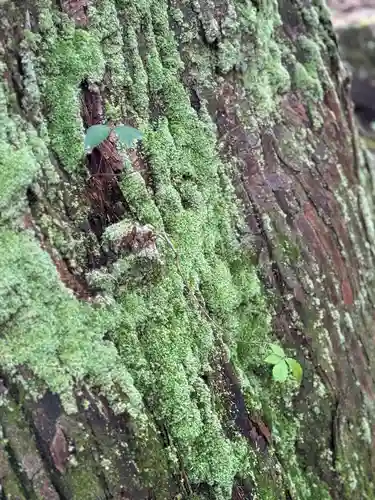 雄山神社中宮祈願殿(富山県)