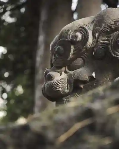 赤坂氷川神社(東京都)